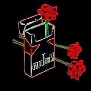 Meet your Posher, Layla